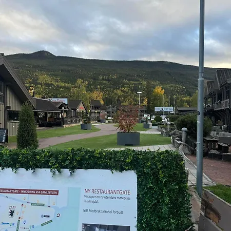Leilighet Sentrumsvegen - Private In Gol
